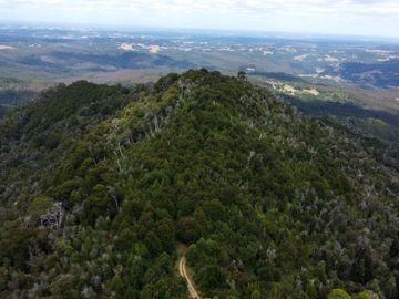 Campo en venta en Purranque de 345 hectáreas, Hueyusca, Región de Los Lagos