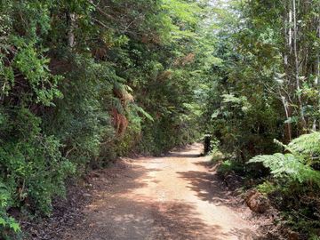 Campo en venta en Purranque de 345 hectáreas, Hueyusca, Región de Los Lagos