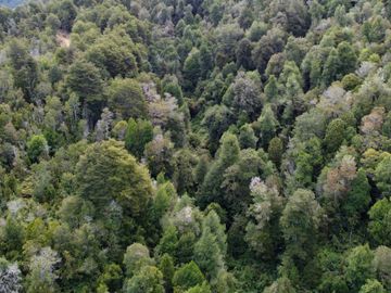 Campo en venta en Purranque de 345 hectáreas, Hueyusca, Región de Los Lagos