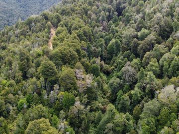 Campo en venta en Purranque de 345 hectáreas, Hueyusca, Región de Los Lagos