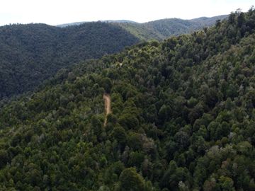 Campo en venta en Purranque de 345 hectáreas, Hueyusca, Región de Los Lagos