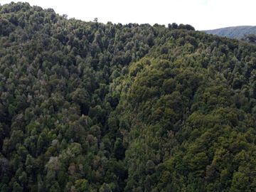 Campo en venta en Purranque de 345 hectáreas, Hueyusca, Región de Los Lagos