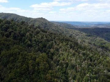 Campo en venta en Purranque de 345 hectáreas, Hueyusca, Región de Los Lagos