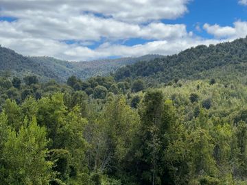 Campo en venta en Purranque de 345 hectáreas, Hueyusca, Región de Los Lagos