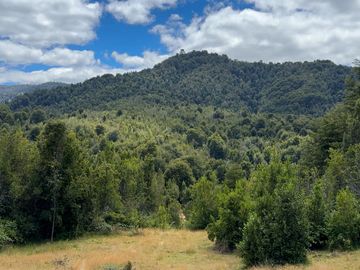Campo en venta en Purranque de 345 hectáreas, Hueyusca, Región de Los Lagos