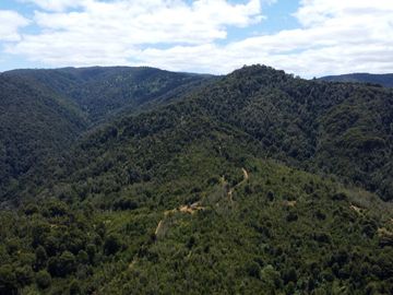 Campo en venta en Purranque de 345 hectáreas, Hueyusca, Región de Los Lagos