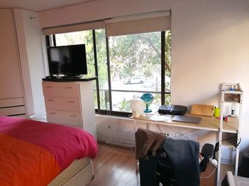 DUPLEX, MARDOQUEO FERNANDEZ / SAN PIO X, PROVIDENCIA, 1D, 1B, ESTACIONAMIENTO, BODEGA Y PISCINA, A PASOS DEL METRO