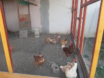 QUINTA EN VENTA EN CADEREYTA JIMENEZ NUEVO LEON, ZONA FRACC PRIVADO BELLO HORIZONTE, TERRENO 3328 m2, A 15 MIN DE AV ELOY CAVAZOS Y C JUAREZ SAN MATEO