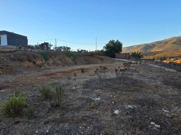 Callejón Las Gaviotas, Vista panorámica