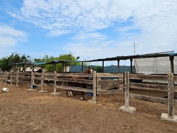 Exclusivo Fundo Santa Apolonia En Venta – Moche, Trujillo (aipanaque)