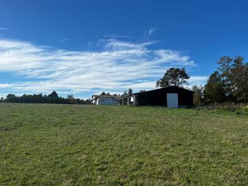 PRECIOSO CAMPO DE 6 HA EN KM 13,5 VILLARICA LONCOCHE,SECTOR LA MEDICA