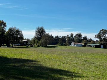 PRECIOSO CAMPO DE 6 HA EN KM 13,5 VILLARICA LONCOCHE,SECTOR LA MEDICA