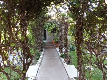 💎 Excelente ubicación y amplitud en Tequisquiapan: ¡Casa de una planta con frutales! 🍋🏠