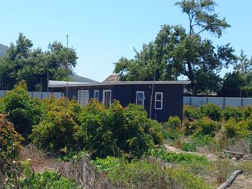 7,11 HA EN ROMERAL HIJUELAS CON PALTOS EN PLENA PRODUCCION