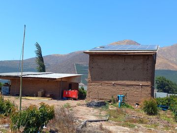 7,11 HA EN ROMERAL HIJUELAS CON PALTOS EN PLENA PRODUCCION