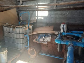 7,11 HA EN ROMERAL HIJUELAS CON PALTOS EN PLENA PRODUCCION