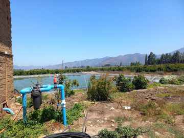 7,11 HA EN ROMERAL HIJUELAS CON PALTOS EN PLENA PRODUCCION