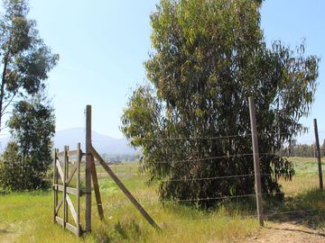 LINDO TERRENO EN SECTOR STA LUISA, MANTAGUA A 10 MINUTOS ROTONDA CONCON