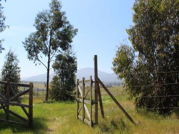 LINDO TERRENO EN SECTOR STA LUISA, MANTAGUA A 10 MINUTOS ROTONDA CONCON