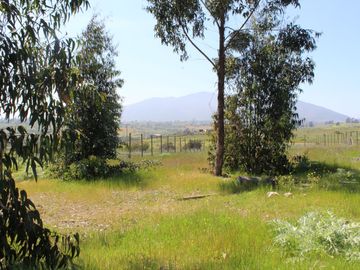 LINDO TERRENO EN SECTOR STA LUISA, MANTAGUA A 10 MINUTOS ROTONDA CONCON