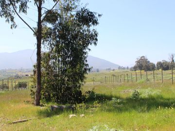 LINDO TERRENO EN SECTOR STA LUISA, MANTAGUA A 10 MINUTOS ROTONDA CONCON