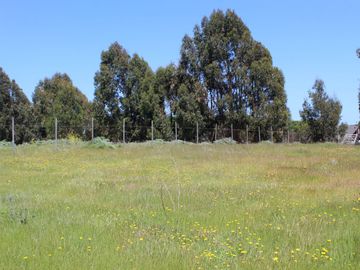 LINDO TERRENO EN SECTOR STA LUISA, MANTAGUA A 10 MINUTOS ROTONDA CONCON
