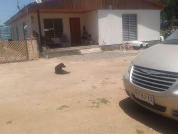 Parcela con casa 5.000/130 m2