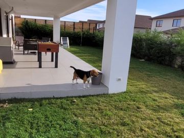 Casa en venta El Polo 4 dorm 3 baños con piscina en Machalí