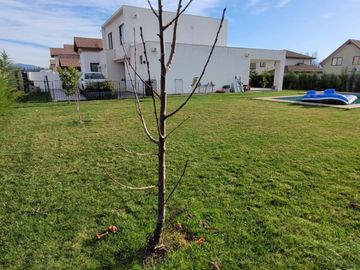 Casa en venta El Polo 4 dorm 3 baños con piscina en Machalí