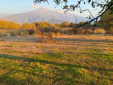 PARCELA AGRICOLA 4,5 HA, SECTOR PINTUE, ACULEO, COMUNA DE PAINE, REGION METROPOLITANA, DERECHOS DE AGUA, POZO DE 15 M, A 1 HORA DE SANTIAGO