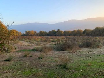 PARCELA AGRICOLA 4,5 HA, SECTOR PINTUE, ACULEO, COMUNA DE PAINE, REGION METROPOLITANA, DERECHOS DE AGUA, POZO DE 15 M, A 1 HORA DE SANTIAGO
