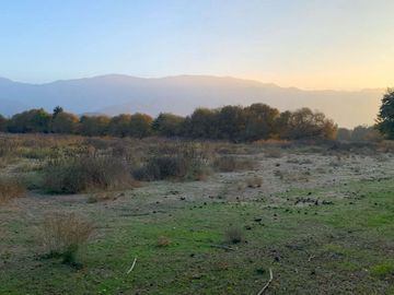 PARCELA AGRICOLA 4,5 HA, SECTOR PINTUE, ACULEO, COMUNA DE PAINE, REGION METROPOLITANA, DERECHOS DE AGUA, POZO DE 15 M, A 1 HORA DE SANTIAGO