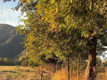 PARCELA AGRICOLA 4,5 HA, SECTOR PINTUE, ACULEO, COMUNA DE PAINE, REGION METROPOLITANA, DERECHOS DE AGUA, POZO DE 15 M, A 1 HORA DE SANTIAGO