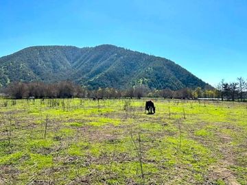 PARCELA AGRICOLA 4,5 HA, SECTOR PINTUE, ACULEO, COMUNA DE PAINE, REGION METROPOLITANA, DERECHOS DE AGUA, POZO DE 15 M, A 1 HORA DE SANTIAGO