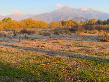 PARCELA AGRICOLA 4,5 HA, SECTOR PINTUE, ACULEO, COMUNA DE PAINE, REGION METROPOLITANA, DERECHOS DE AGUA, POZO DE 15 M, A 1 HORA DE SANTIAGO