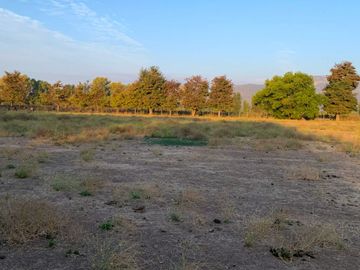 PARCELA AGRICOLA 4,5 HA, SECTOR PINTUE, ACULEO, COMUNA DE PAINE, REGION METROPOLITANA, DERECHOS DE AGUA, POZO DE 15 M, A 1 HORA DE SANTIAGO