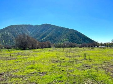 PARCELA AGRICOLA 4,5 HA, SECTOR PINTUE, ACULEO, COMUNA DE PAINE, REGION METROPOLITANA, DERECHOS DE AGUA, POZO DE 15 M, A 1 HORA DE SANTIAGO