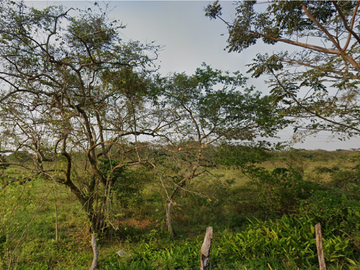 PREDIO RUSTICO EN VENTA 100 HAS, TENOSIQUE DE PINO SUAREZ, TABASCO, $155.00 M2