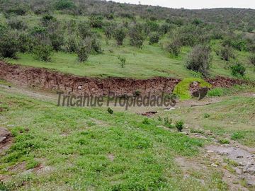Parcela de 5.800 m2 en sector La Estrella, La Serena. Muy linda vista. $19 millones
