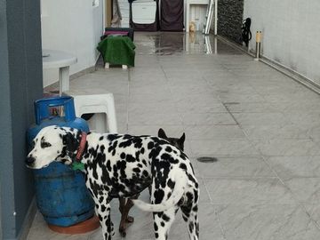 Departamento Venta, Conjunto Zoe, Santa Lucia, Norte de Quito