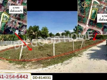 DD-814031 Chomphu land 187 sq.w. Lampang near the Provincial Electricity Authority of Lampang