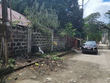 Pansol Laguna Property for Sale good for Resort Development