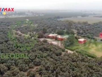 ¡OCASIÓN!. EN VENTA FUNDO 71.44 HECTAREAS DE PALTA HASS ICA.