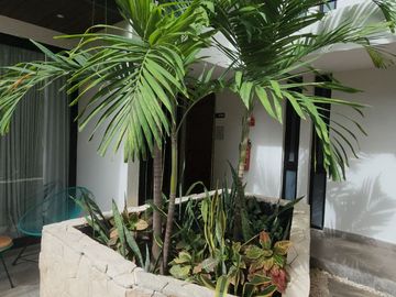 Estudio amueblado: centro de Playa del Carmen, rooftop vista al mar, a pasos de la Quinta Avenida