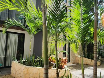Estudio amueblado: centro de Playa del Carmen, rooftop vista al mar, a pasos de la Quinta Avenida
