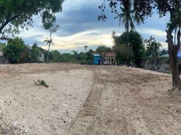 Commercial lot for sale in San Miguel, Cordova, Cebu