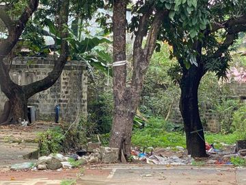 FOR SALE - Vacant Lot in Victoneta Village, Malabon City
