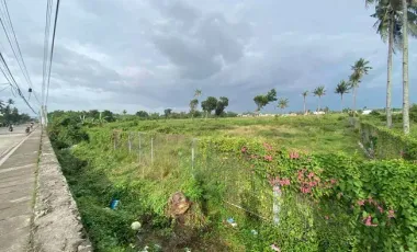 Prime Development Land for Sale in Carcar, Cebu – 4,919 SQM Along Main Road