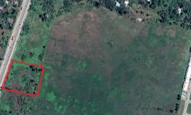 Prime Development Land for Sale in Carcar, Cebu – 4,919 SQM Along Main Road