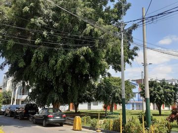 Ocasión Vendo Casa De 3 Niveles Con Departamento Independiente